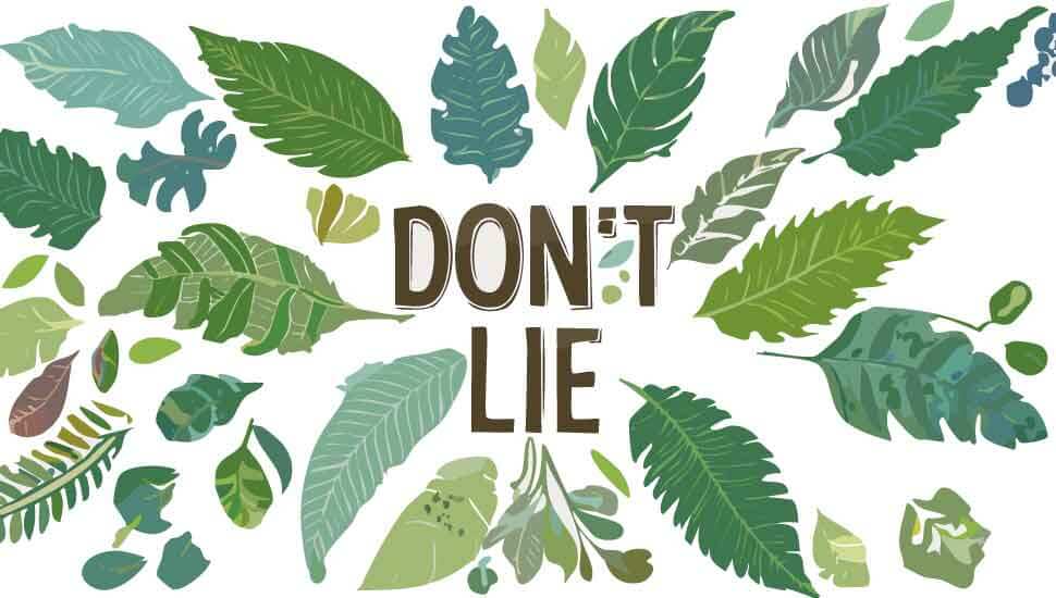 PTSD（心的外傷後ストレス障害）の方もカウンセリングで嘘をついてはダメ